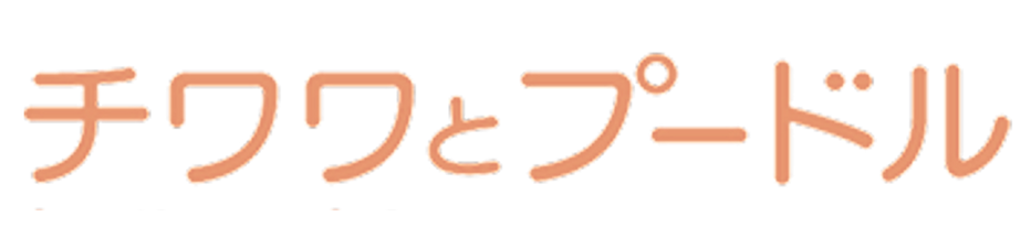 チワワとプードル